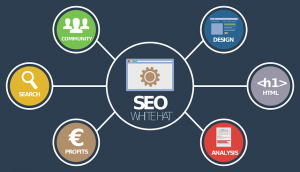 Agenzia SEO Roma